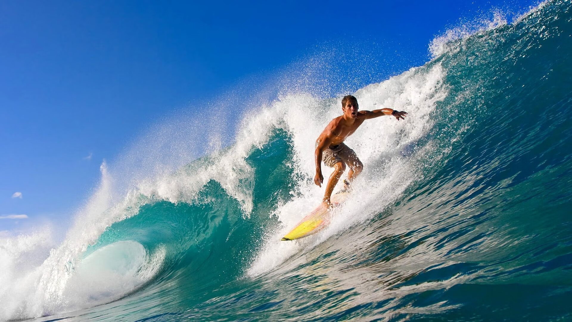 掌控与逆转，恩比德的统治力与雄鹿的坚韧之道